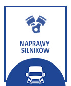 NAPRAWY SILNIKÓW
